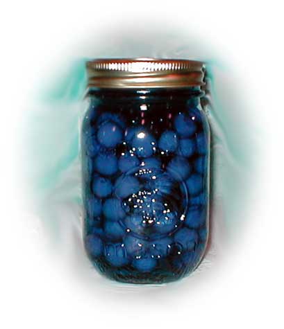 preserves_blueberries_l.jpg